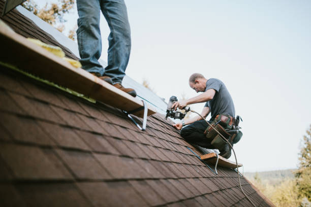 Best Roof Gutter Cleaning  in Nth Bend, OR